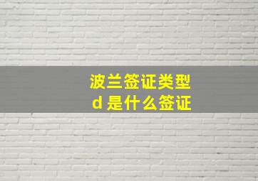 波兰签证类型d 是什么签证